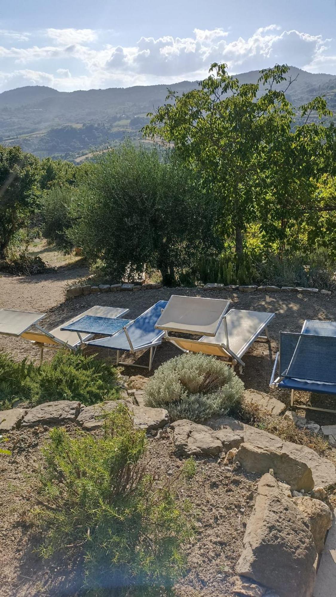 B&B Lavanda E Rosmarino Capolona Buitenkant foto