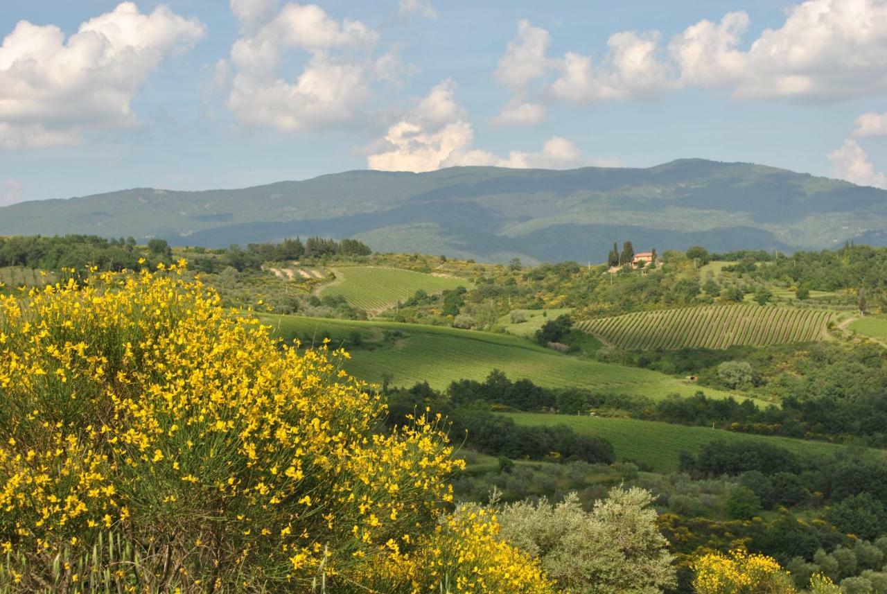 B&B Lavanda E Rosmarino Capolona Buitenkant foto